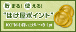 はけ屋ポイント
