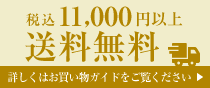 税込10,800円以上送料無料詳しくはお買い物ガイドをご覧ください