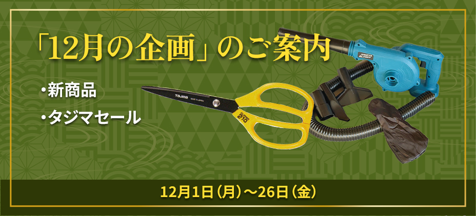 「今月の企画」のご案内