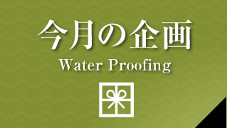 塗来 8号/10号 はけ 11本セット【市川行徳店】【店頭取引限定